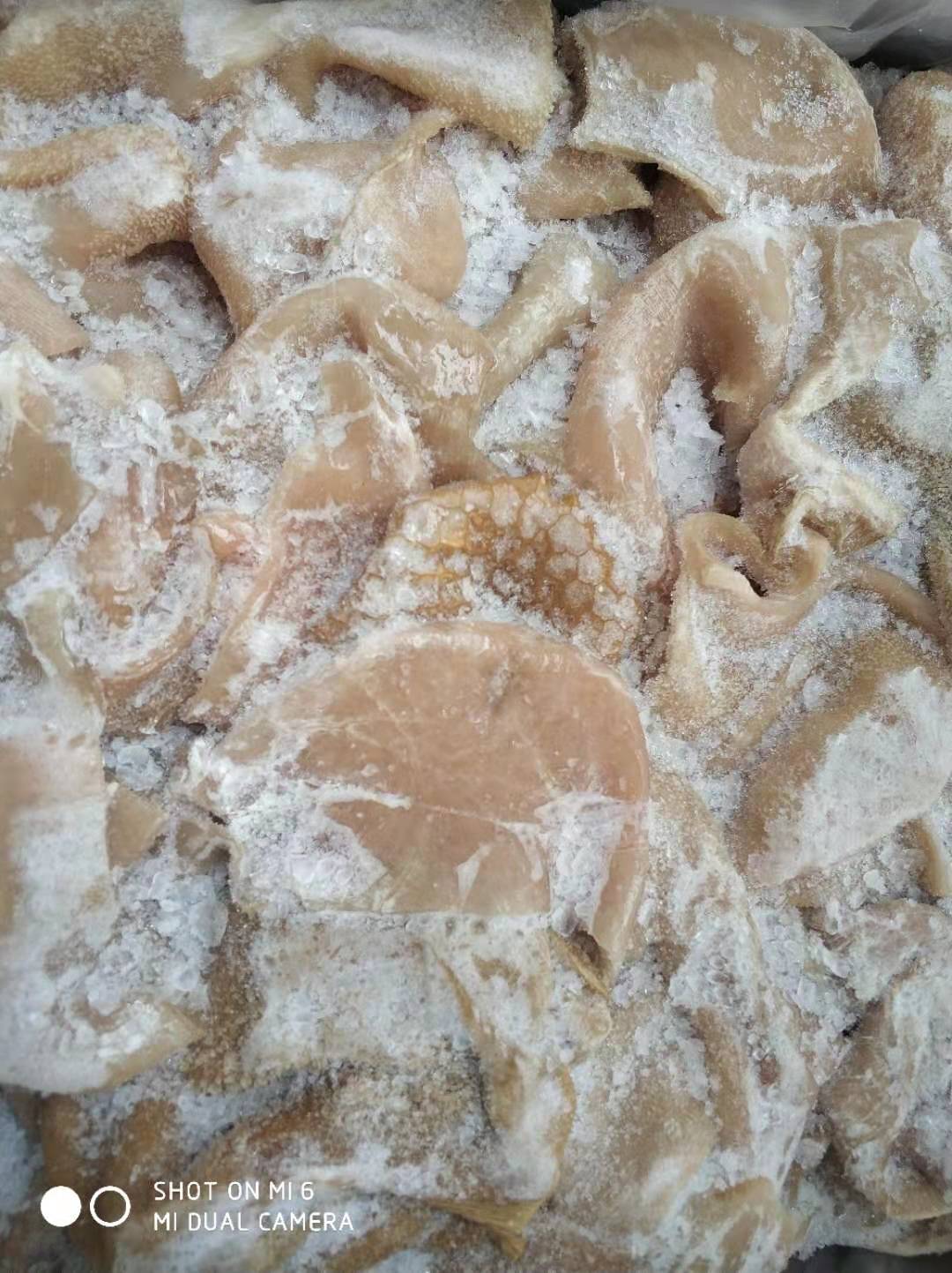 羊肚